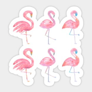 Pink Flamingos Sticker